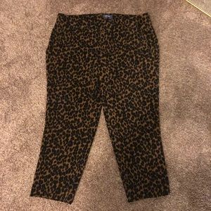 Leopard 16 Cropped BNWOT Pants